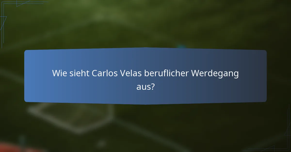 Wie sieht Carlos Velas beruflicher Werdegang aus?